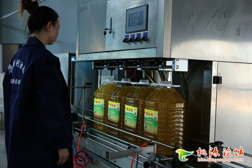 九游老哥J9俱乐部,油茶种植生产加工销售,植物油种植生产加工销售