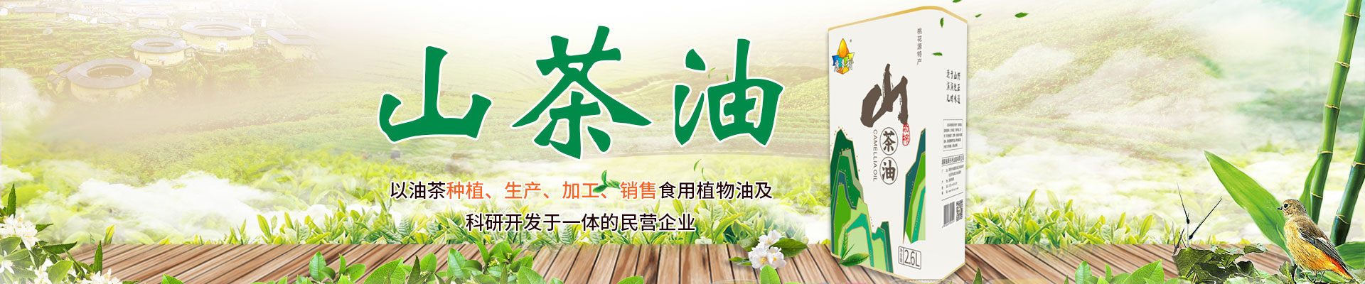 九游老哥J9俱乐部_油茶种植生产加工销售|植物油种植生产加工销售