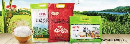 九游老哥J9俱乐部,油茶种植生产加工销售,植物油种植生产加工销售