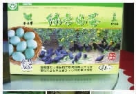 九游老哥J9俱乐部,油茶种植生产加工销售,植物油种植生产加工销售
